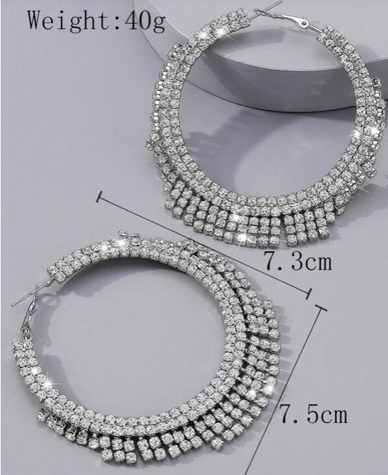 Women's Rhinestone Tassel Big Circle Dangle Earrings (silver)