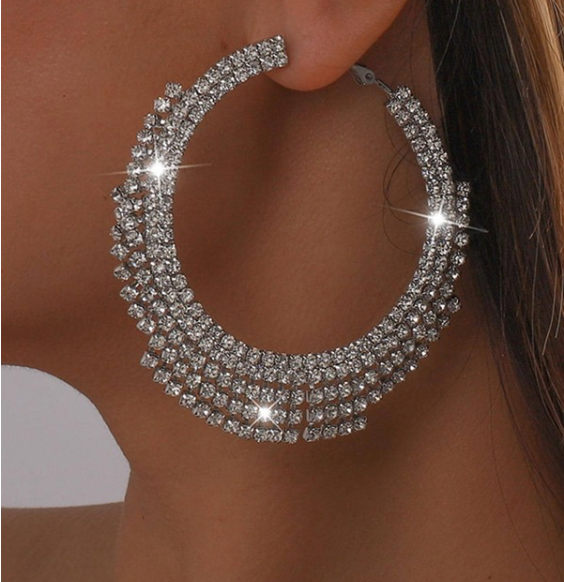 Women's Rhinestone Tassel Big Circle Dangle Earrings (silver)